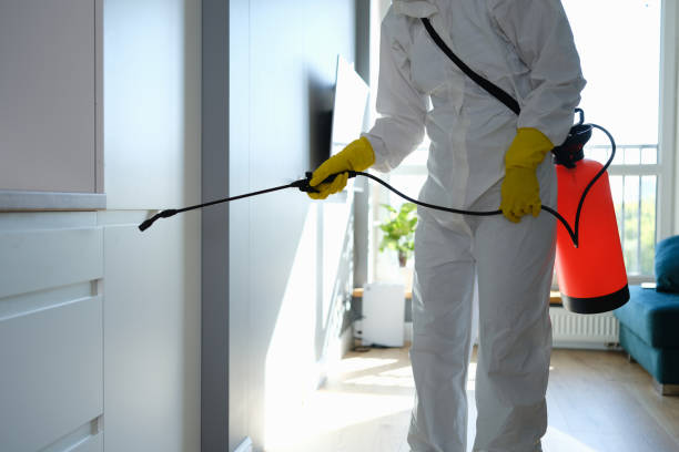 Best Mold Remediation for Healthcare Facilities  in Yazoo City, MS